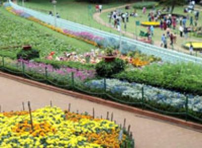 Beautiful Nest and Backwater Tour