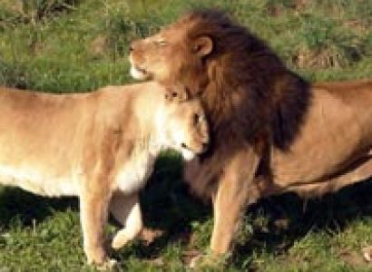 Historic Architecture of Gujarat Tour