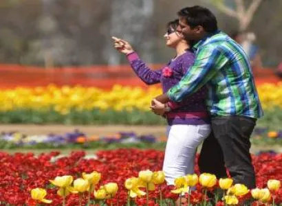 Honeymoon in Shimla with Chail Tour