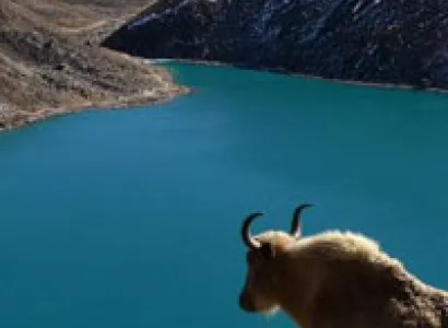 Everest Gokyo Valley Trekking - 14 Days