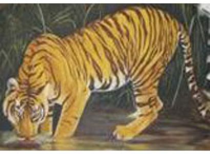 Holiday Tour Package 5