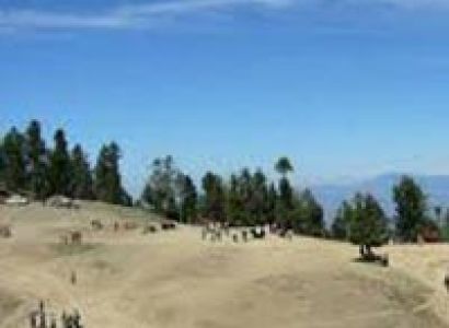 Shimla Short Escape Tour