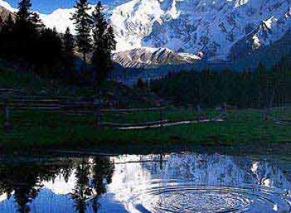 Fairy Meadows, Nanga Parbat Base Camp Trek Tour