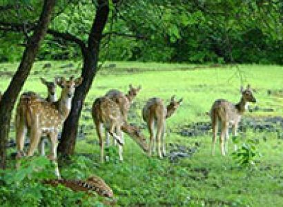Madhya Pradesh Delights, (4N/5D) 3 Star , Ex - Orchha Tour