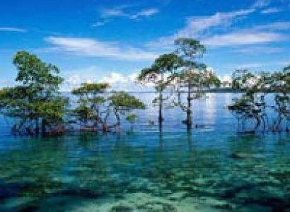 Andaman With Baratang Day Trip 6N/7D (Summer Special) Tour