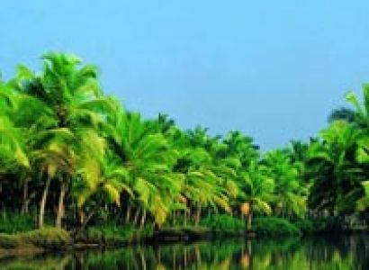 Kerala Tour