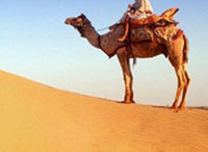 Rajasthan Tour