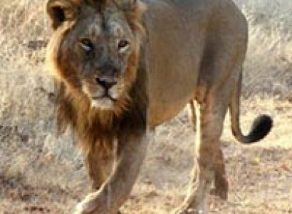 Gujarat Short Trip Package