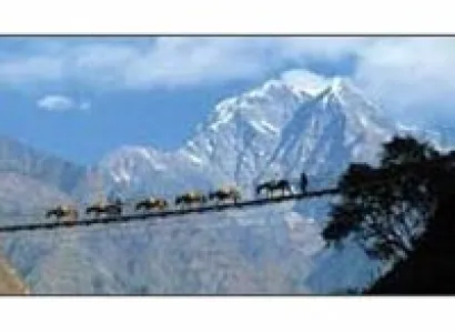 Explore Total Sikkim