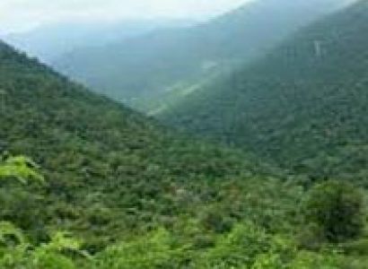 Short Escape to Wayanad Tour
