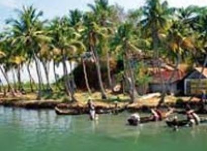 Cochin Heritage Tour