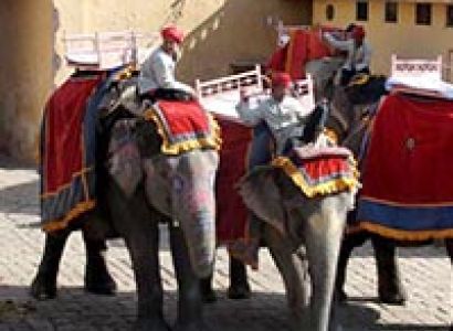 Golden Triangle Tour Package 