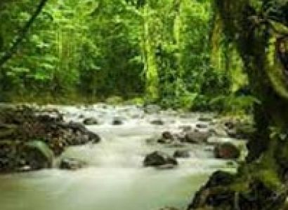 Taman Negara National Park Package