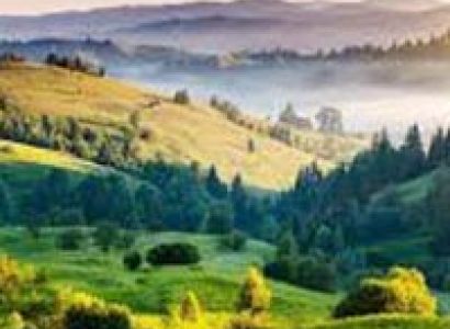 Beautiful Darjeeling Tour