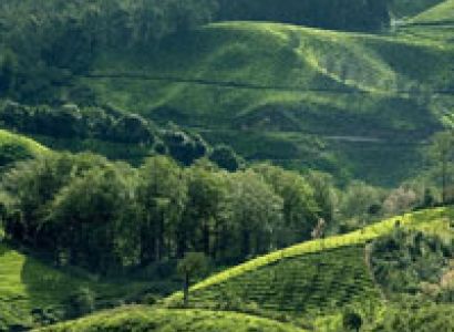 Nepal - Darjeeling - Puri Tour