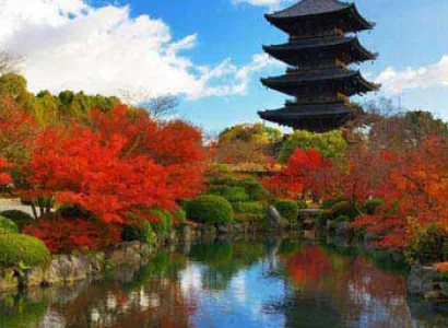 Handpicked Japan 12N/13D Package