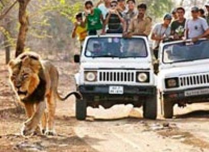 Ayurveda And Wildlife Tour 7N/8D