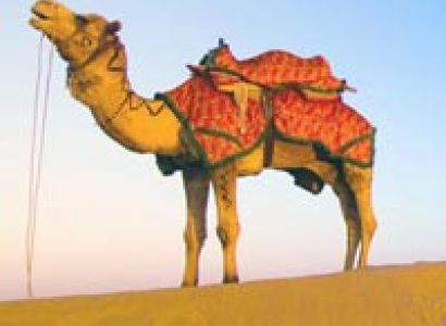 Desert Tour of Rajasthan