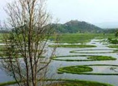 Short Escape to Kaziranga Tour