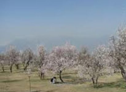 Kashmir with Amritsar Tour, 10Nights - 11Days