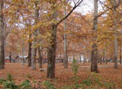 Special Amarnath Tour Package