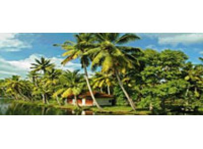 Homestays in Offbeat Kerala