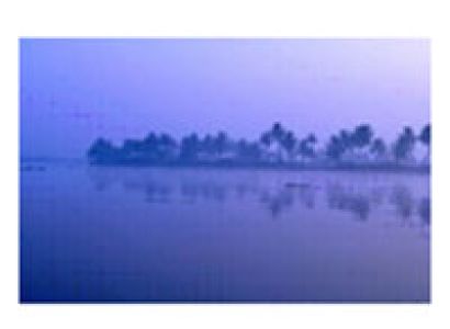 Salt Desert and Beaches of Gujarat