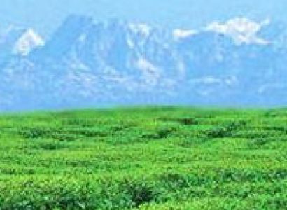 Sikkim - Valley of Clouds