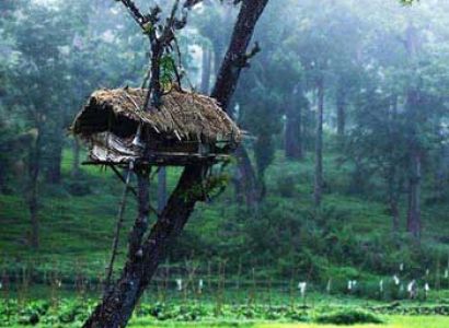 Wayanad 3 Days Package