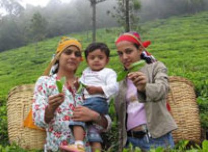 Make My Trip Tours For Banglore - Mysore - Ooty