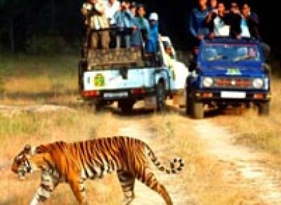 Nainital - Kausani - Corbett Park Tour