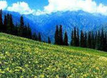 Kashmir Holidays Package