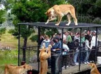 Simply Thailand Tour