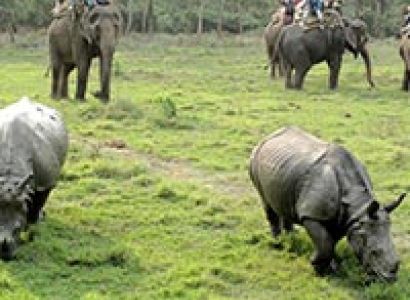 05 Night 06 Days Lumbini - Pokhara - Kathmandu - Chitwan With Manokamna By Car
