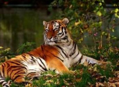 6Night - 7Days Offbeat Odisha Luxury Tour Package