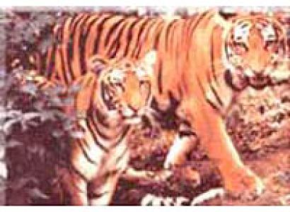 Adventure Tours - 03