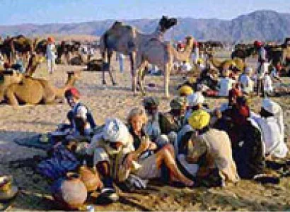 Rajasthan Tribal Tour