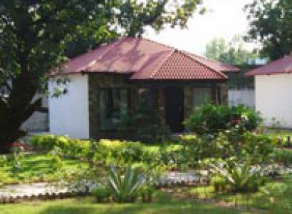 Luxury in Wilderness, Ramnagar