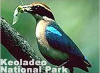 14 Days Keoladeo National Park Tour