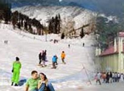 Magnificent Shimla Manali Tour