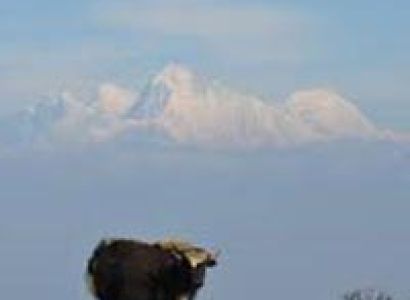 Singalila Chiwa Bhanjyang Trek Tour