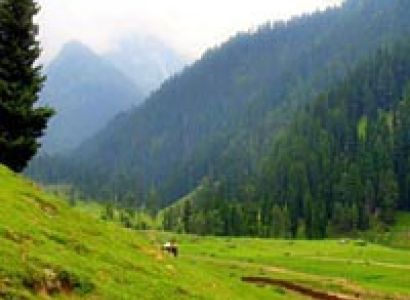 Splendid Kashmir Tour