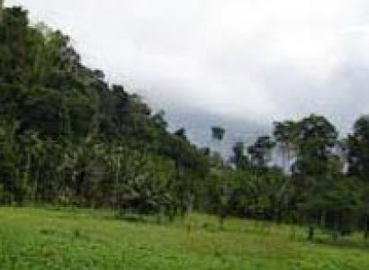 Easy Escape at Andaman Tour.