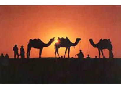 Royal Tour of Rajasthan