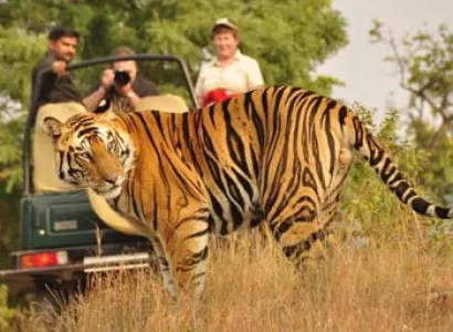 South India Wildlife Tour