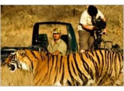 6 Days Wildlife Tiger Tour