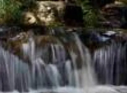 7 Days Kanha - Pipariya Tour Package