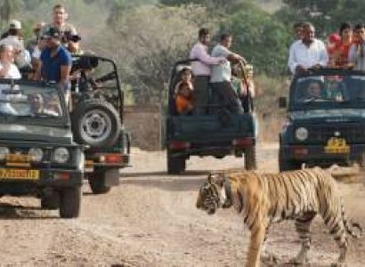 04 Nights 05 Days Jaipur Ranthambore Tour