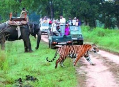 Nainital with Jim Corbett Tour