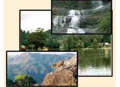 3 Days Munnar Honeymoon Tour